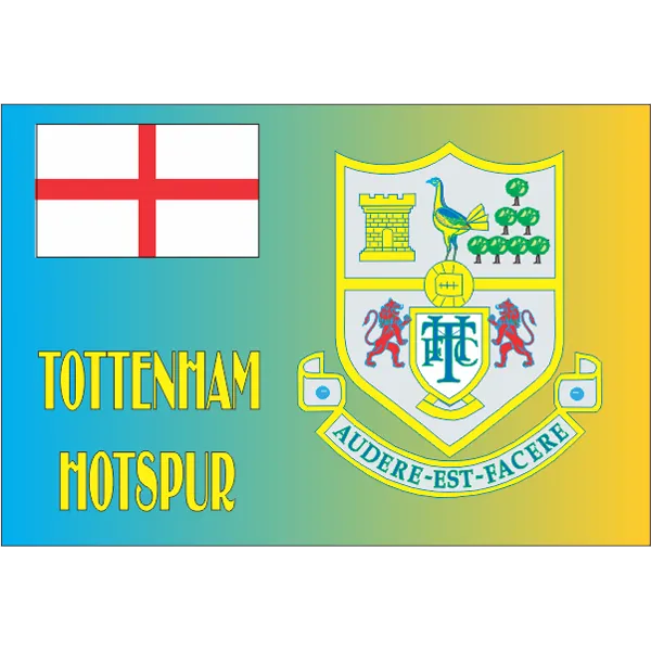 Tottenham Hotspur Fridge Magnet